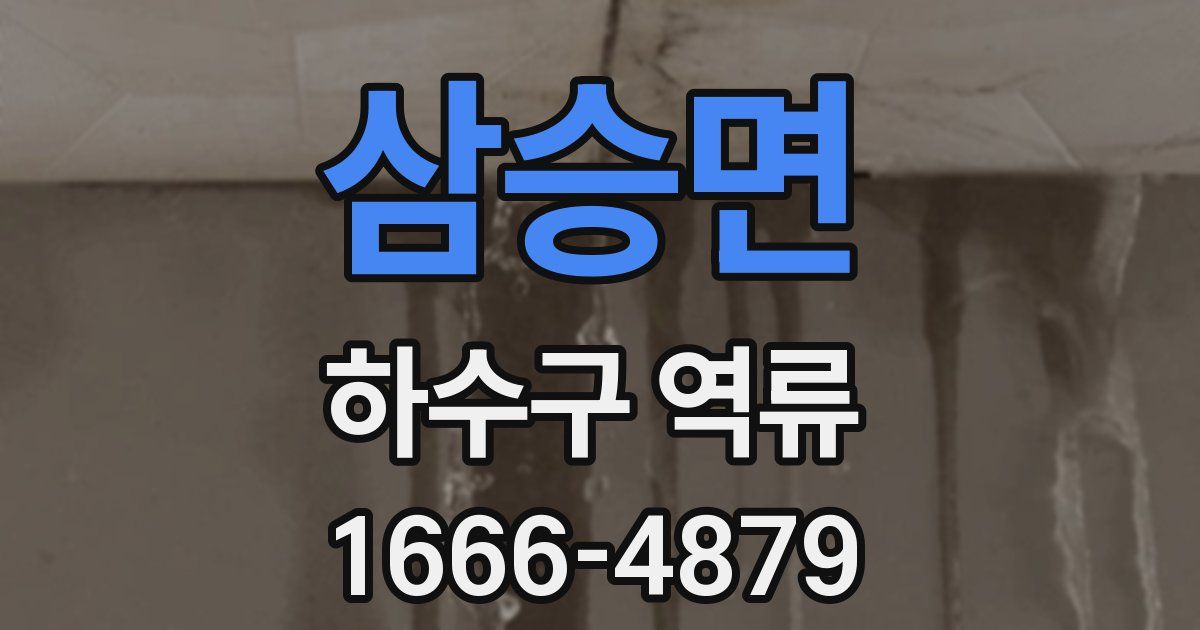 삼승면 하수구 역류