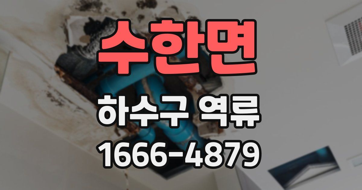 수한면 하수구 역류