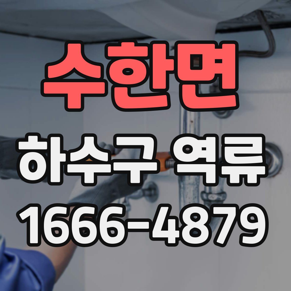 수한면 하수구 역류