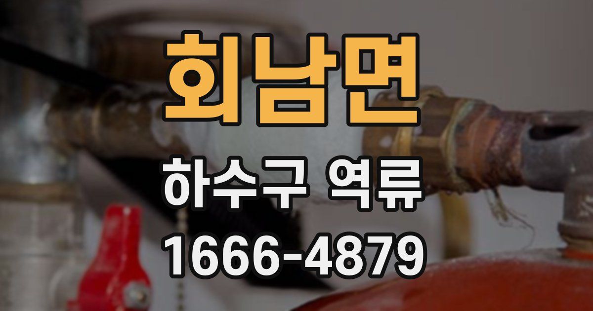 회남면 하수구 역류