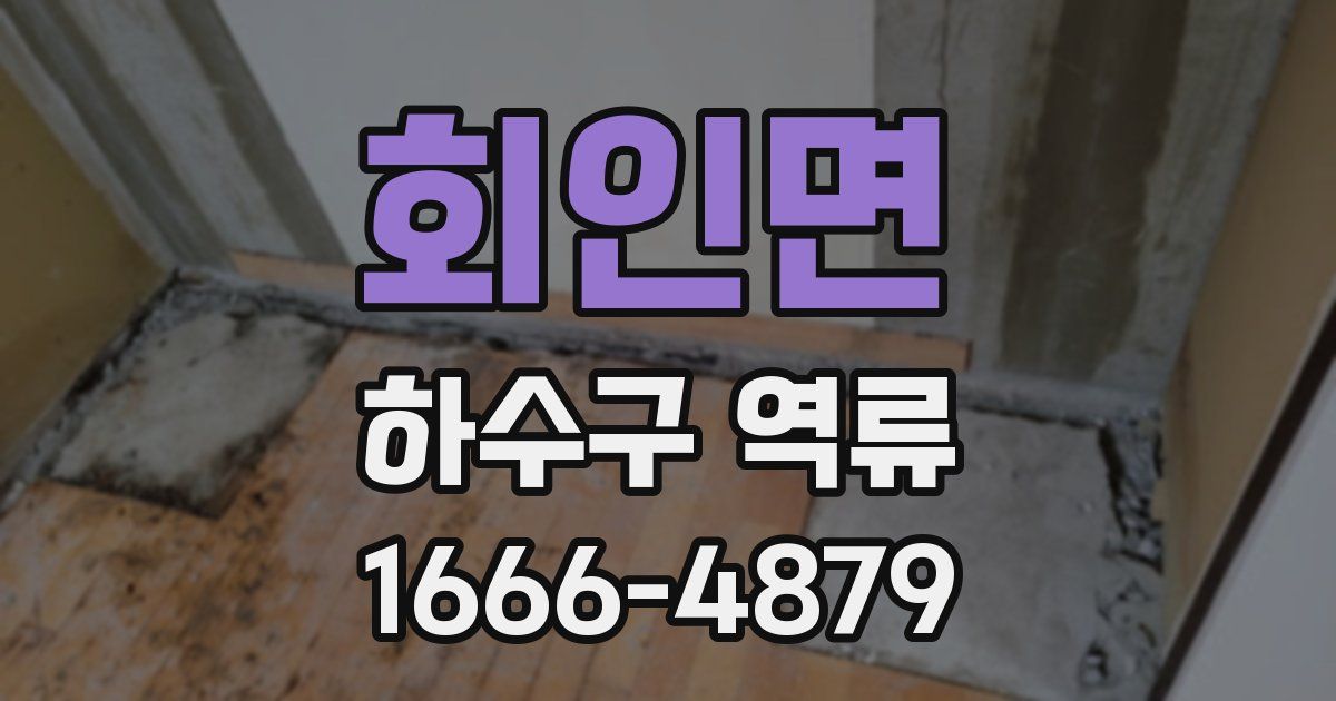 회인면 하수구 역류
