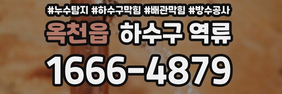 옥천읍 하수구 역류