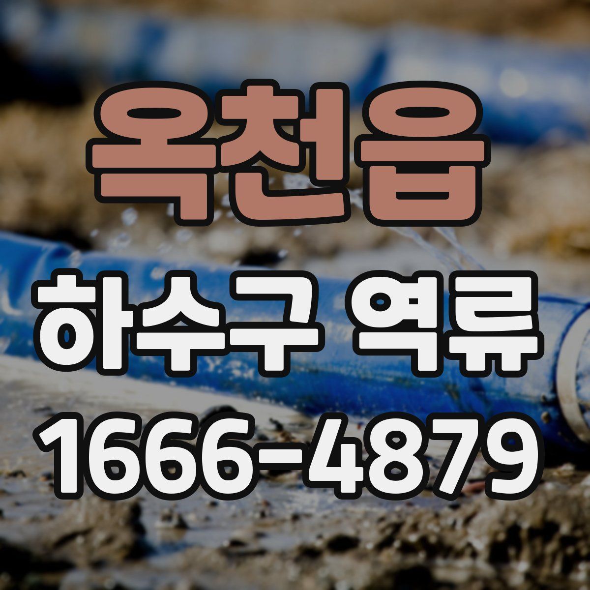 옥천읍 하수구 역류