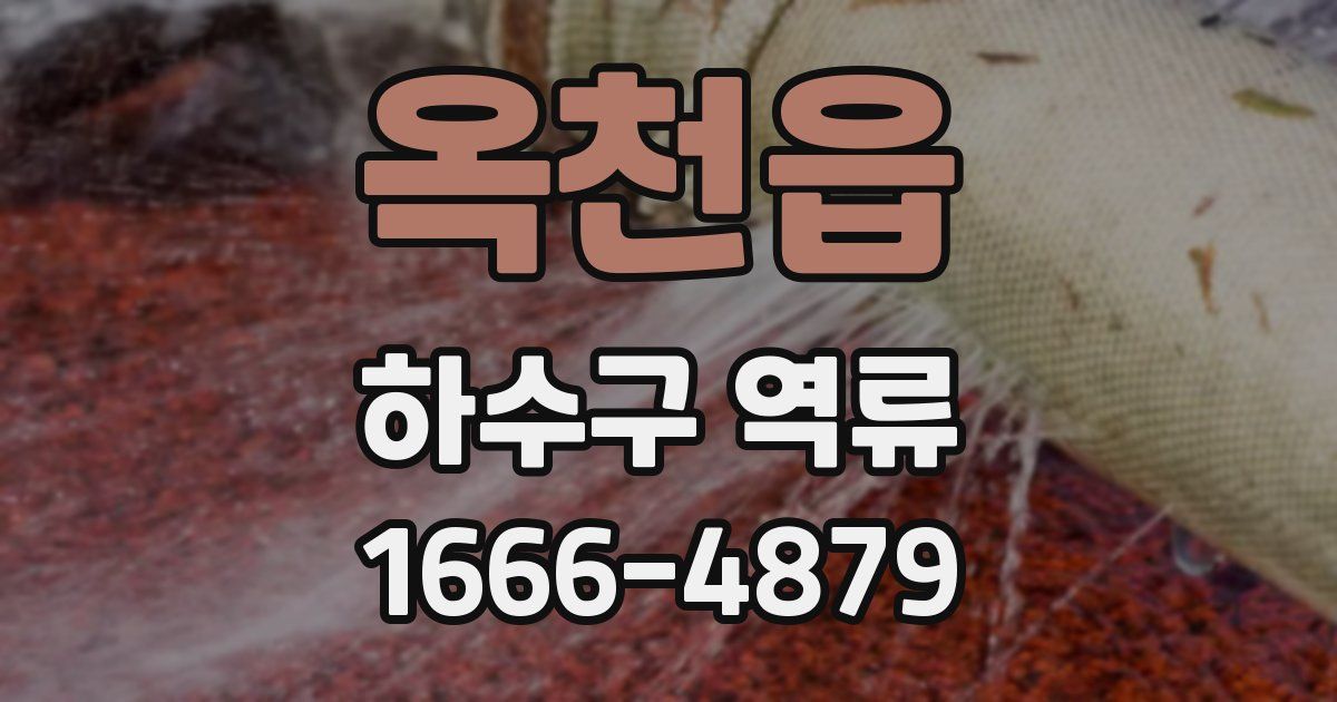 옥천읍 하수구 역류
