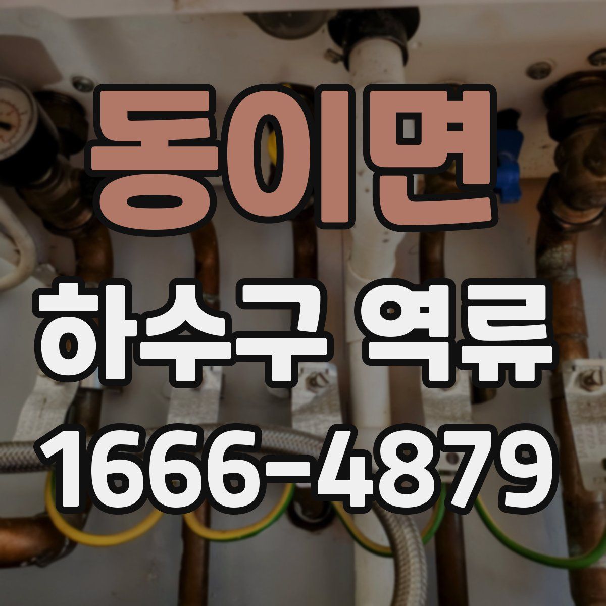 동이면 하수구 역류