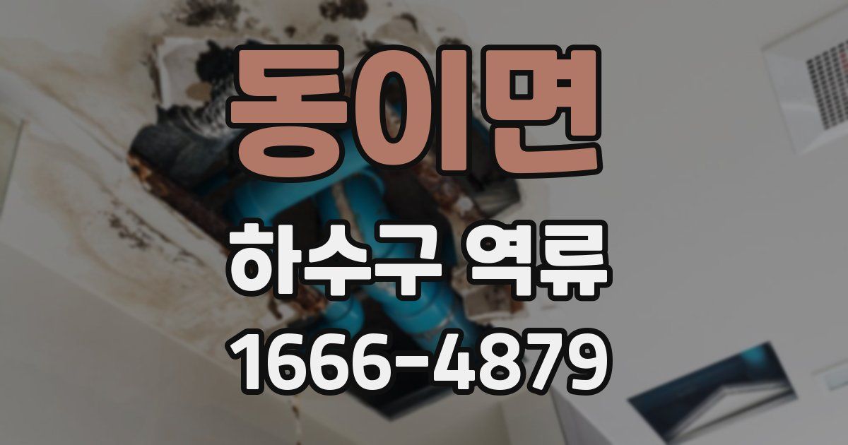 동이면 하수구 역류