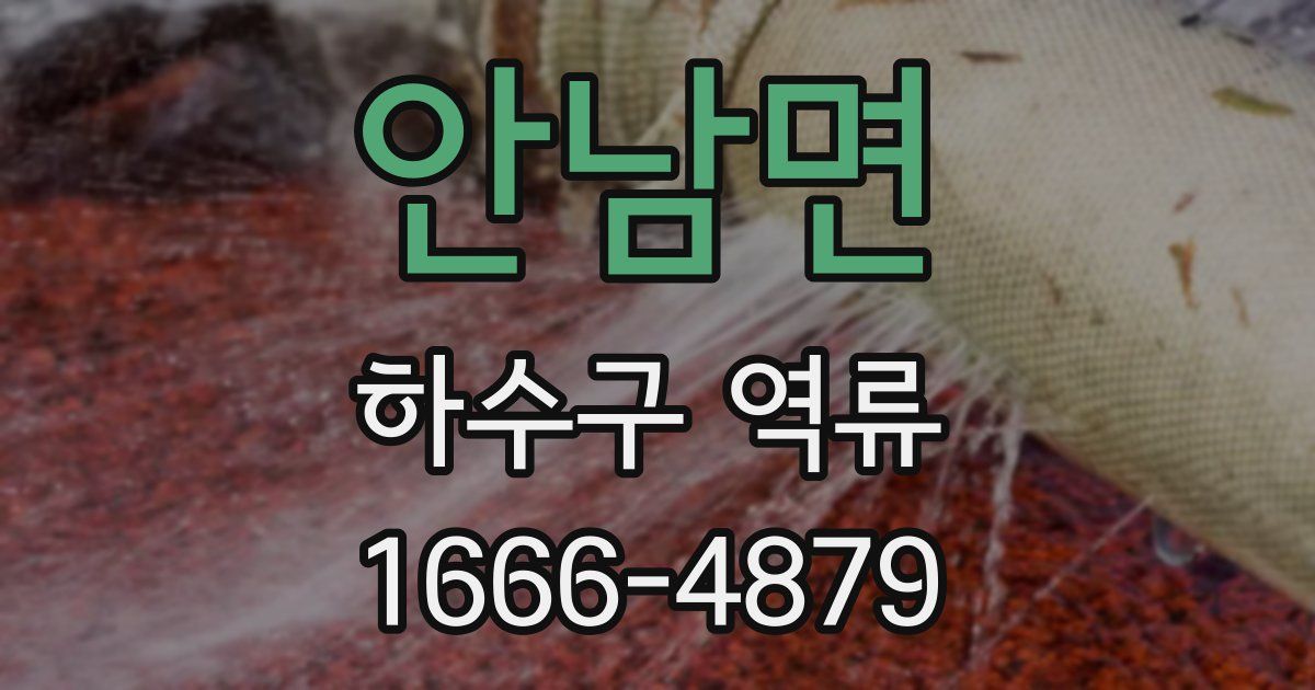 안남면 하수구 역류