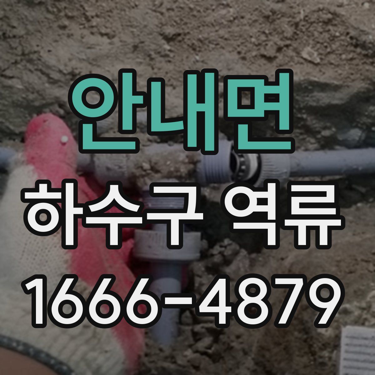 안내면 하수구 역류