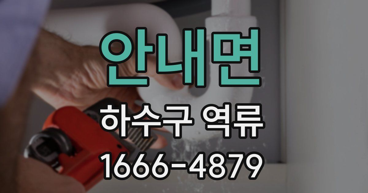 안내면 하수구 역류