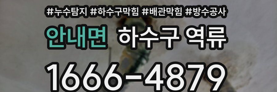 안내면 하수구 역류