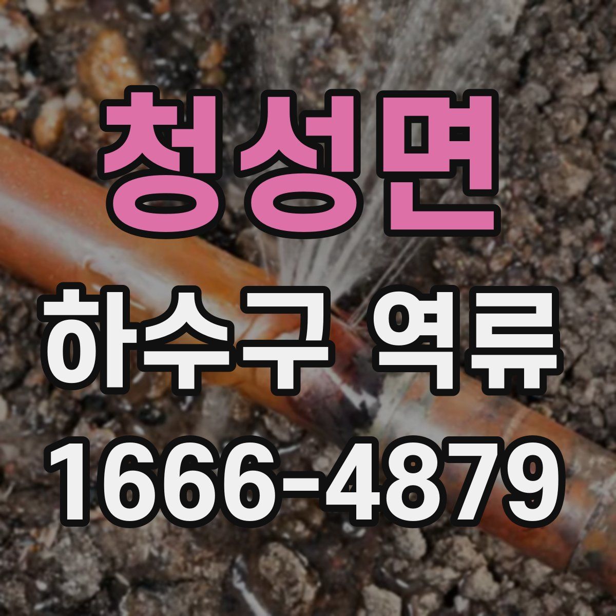 청성면 하수구 역류