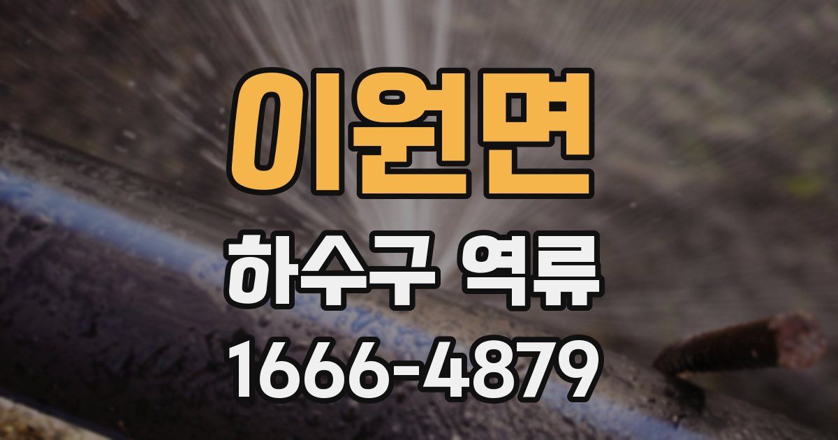 이원면 하수구 역류