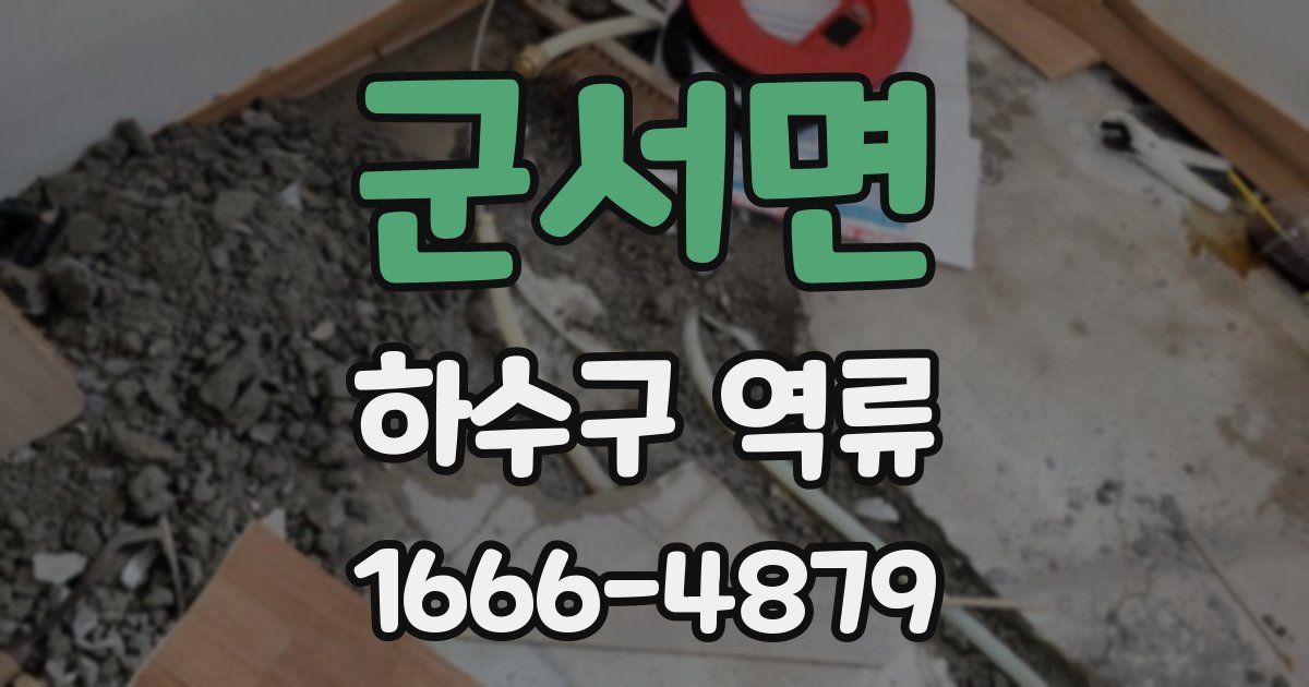 군서면 하수구 역류