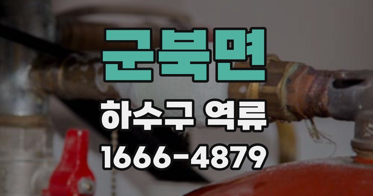 군북면 하수구 역류