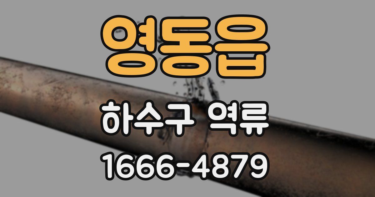 영동읍 하수구 역류