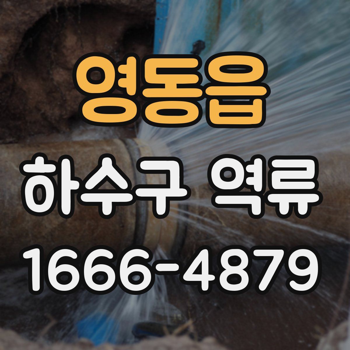 영동읍 하수구 역류