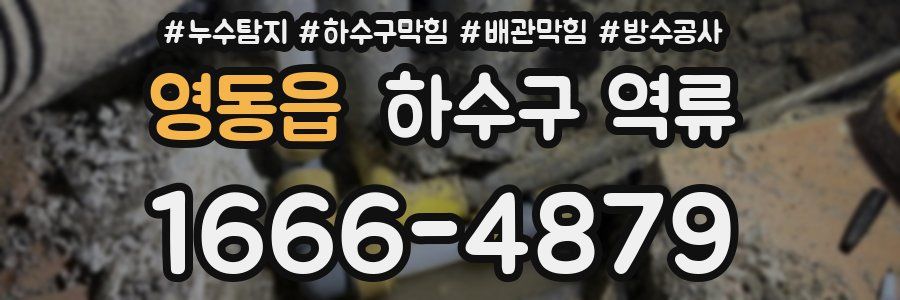 영동읍 하수구 역류