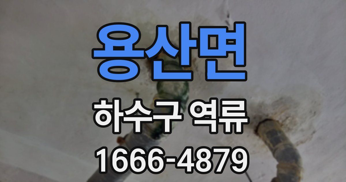 용산면 하수구 역류