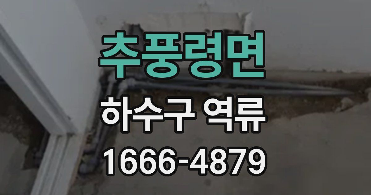 추풍령면 하수구 역류