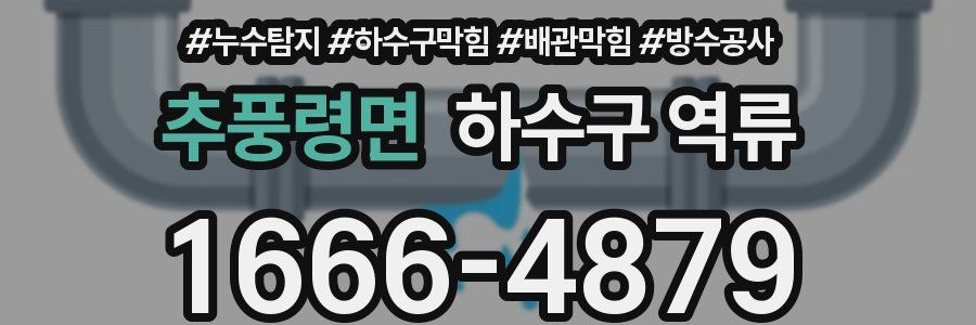 추풍령면 하수구 역류