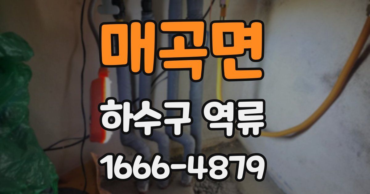 매곡면 하수구 역류