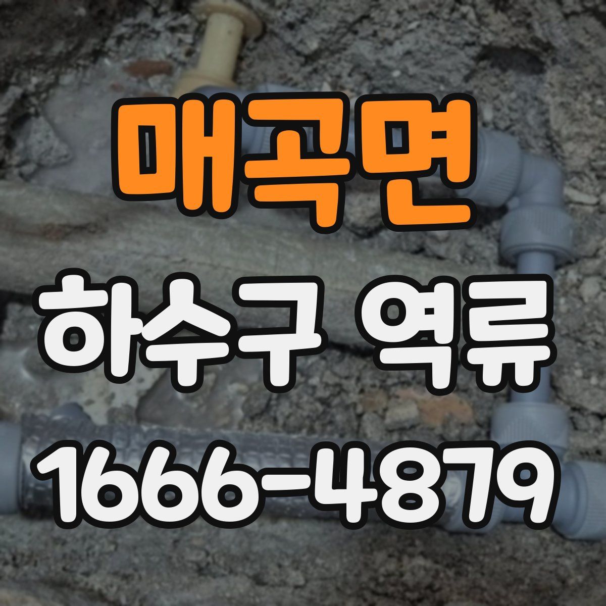 매곡면 하수구 역류
