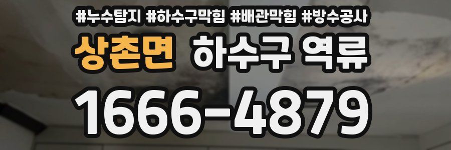 상촌면 하수구 역류