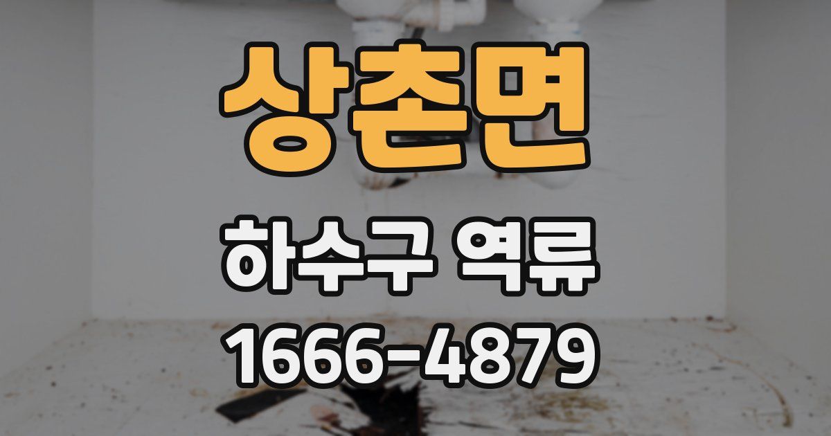 상촌면 하수구 역류