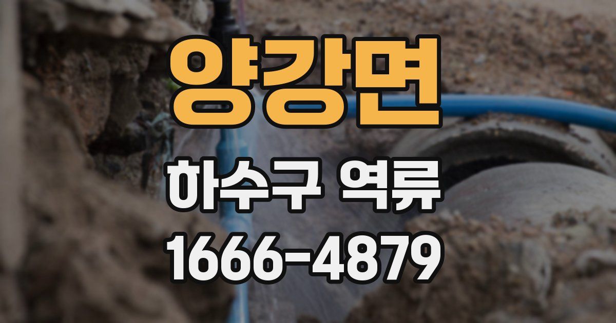 양강면 하수구 역류