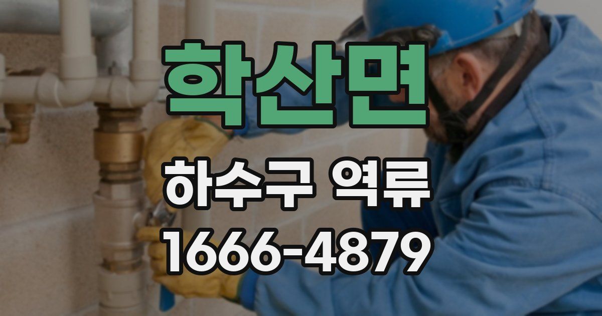 학산면 하수구 역류