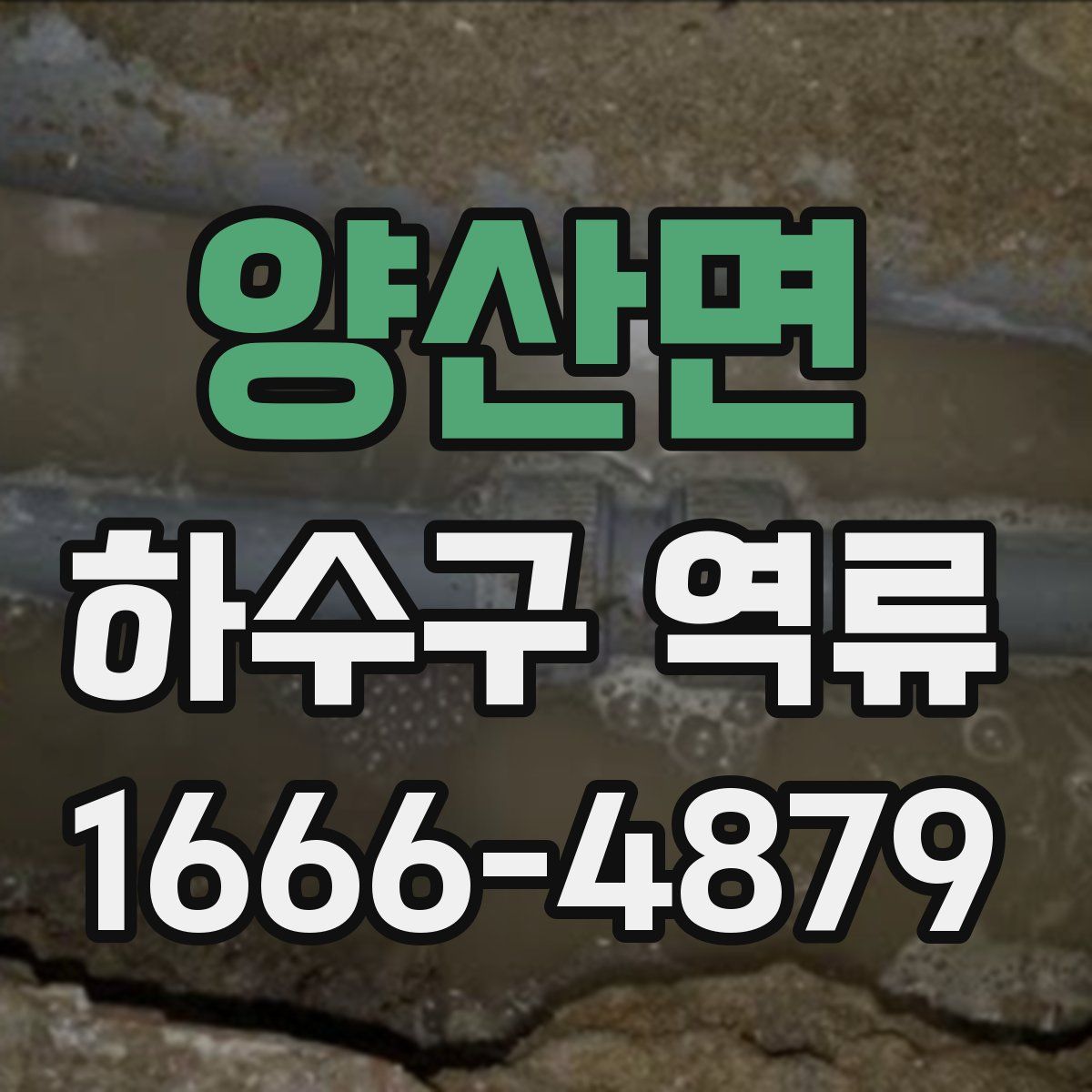 양산면 하수구 역류