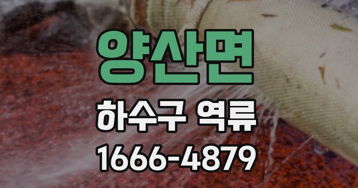 양산면 하수구 역류