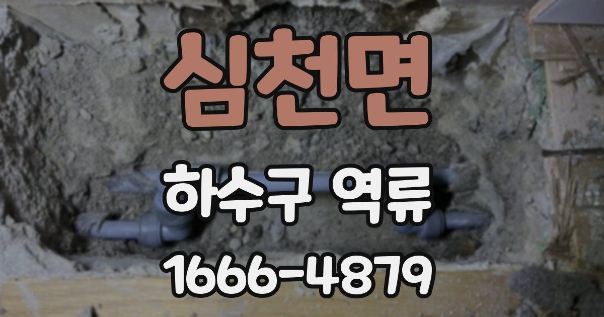 심천면 하수구 역류