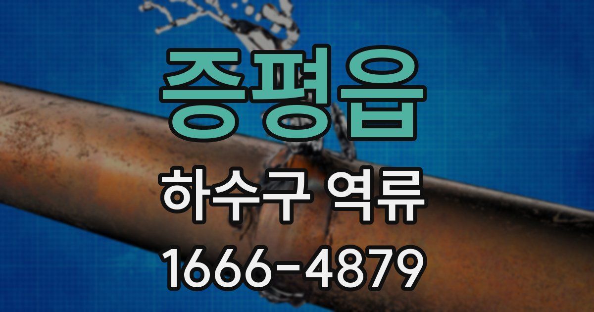 증평읍 하수구 역류