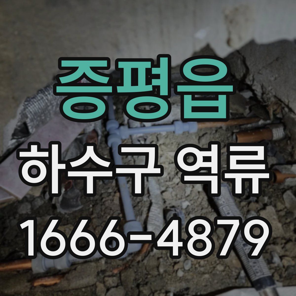 증평읍 하수구 역류