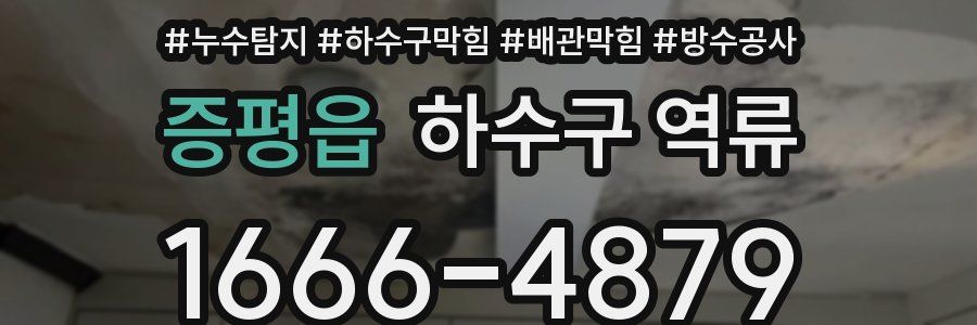 증평읍 하수구 역류