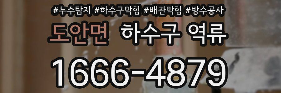 도안면 하수구 역류