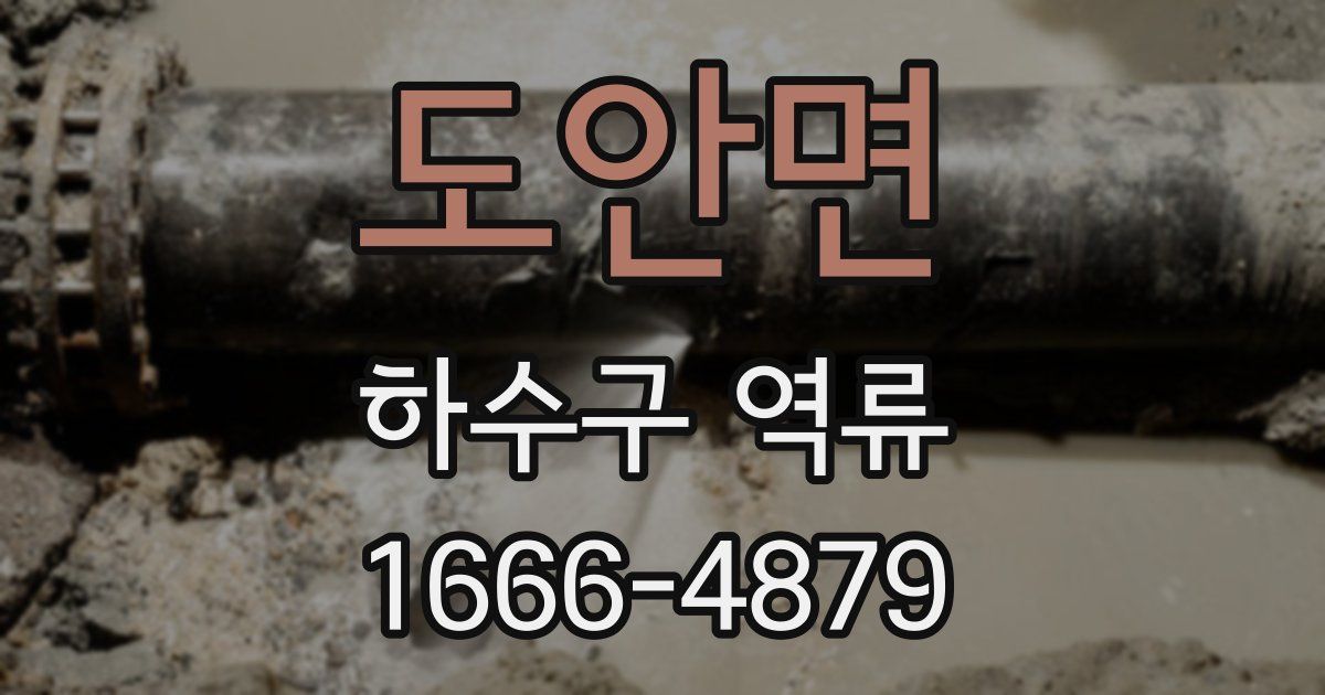 도안면 하수구 역류