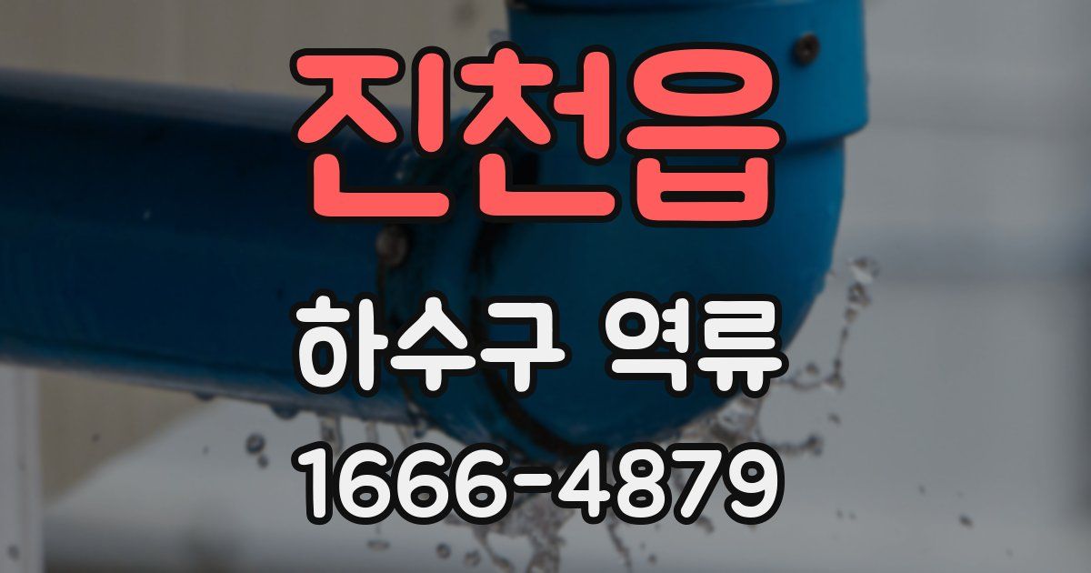 진천읍 하수구 역류