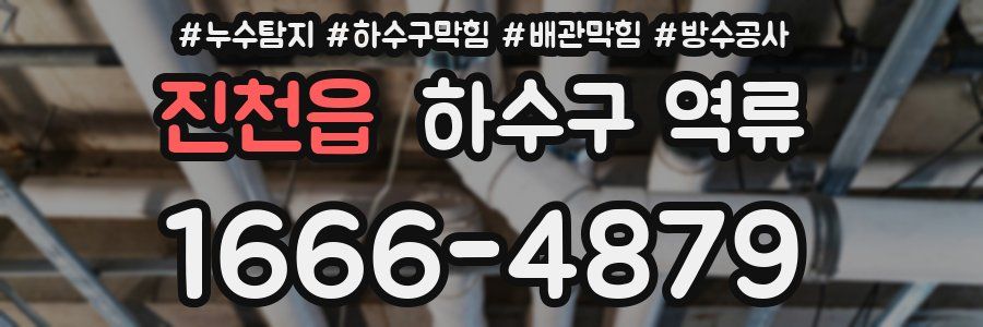 진천읍 하수구 역류