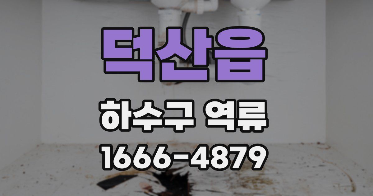 덕산읍 하수구 역류