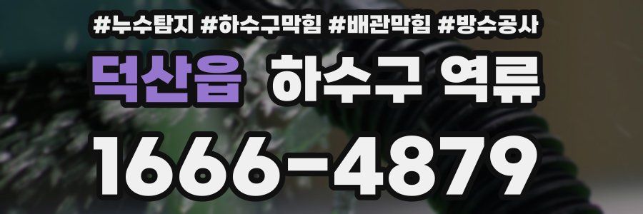 덕산읍 하수구 역류