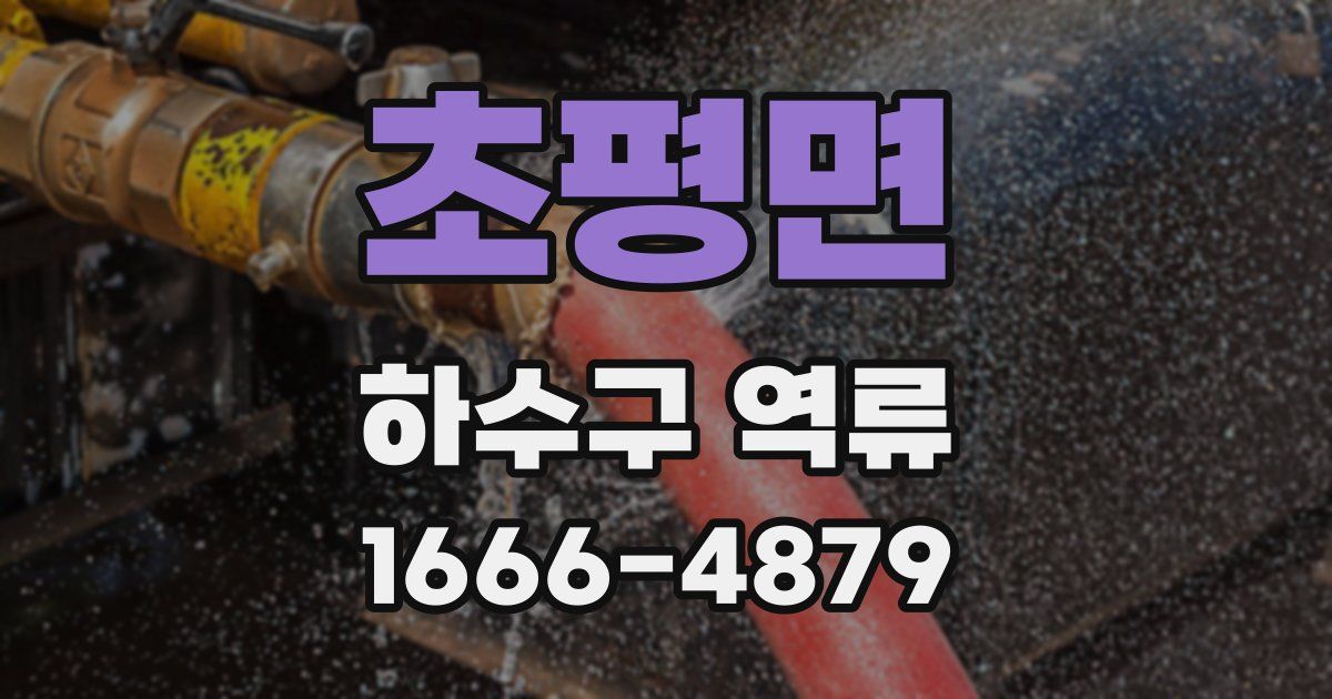 초평면 하수구 역류
