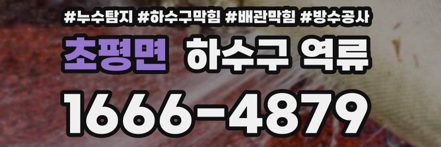 초평면 하수구 역류