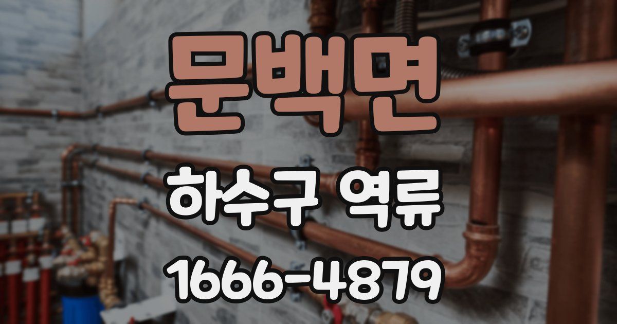 문백면 하수구 역류