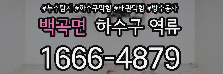 백곡면 하수구 역류
