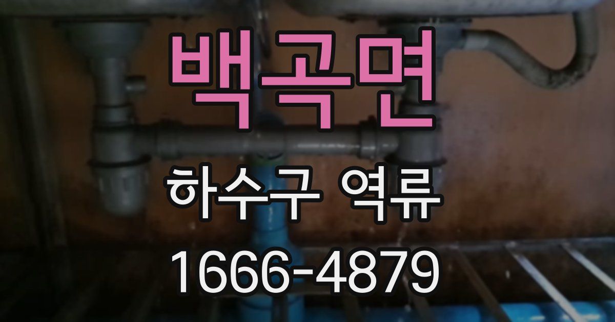 백곡면 하수구 역류