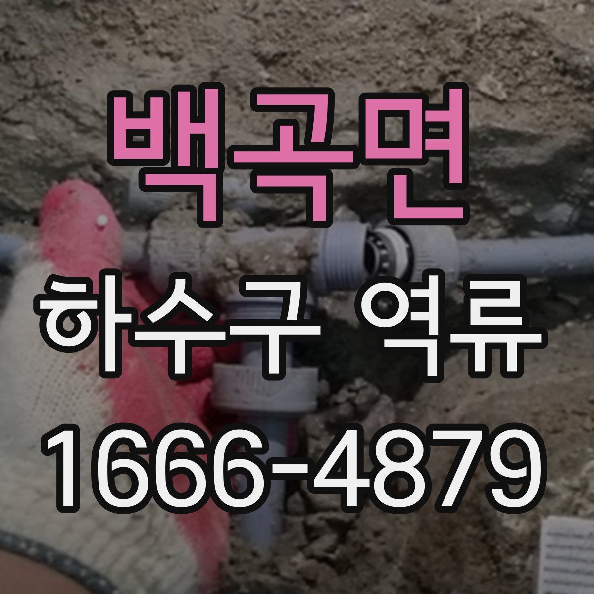 백곡면 하수구 역류