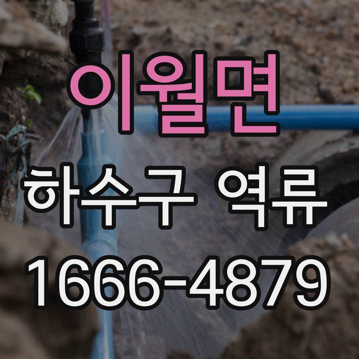 이월면 하수구 역류