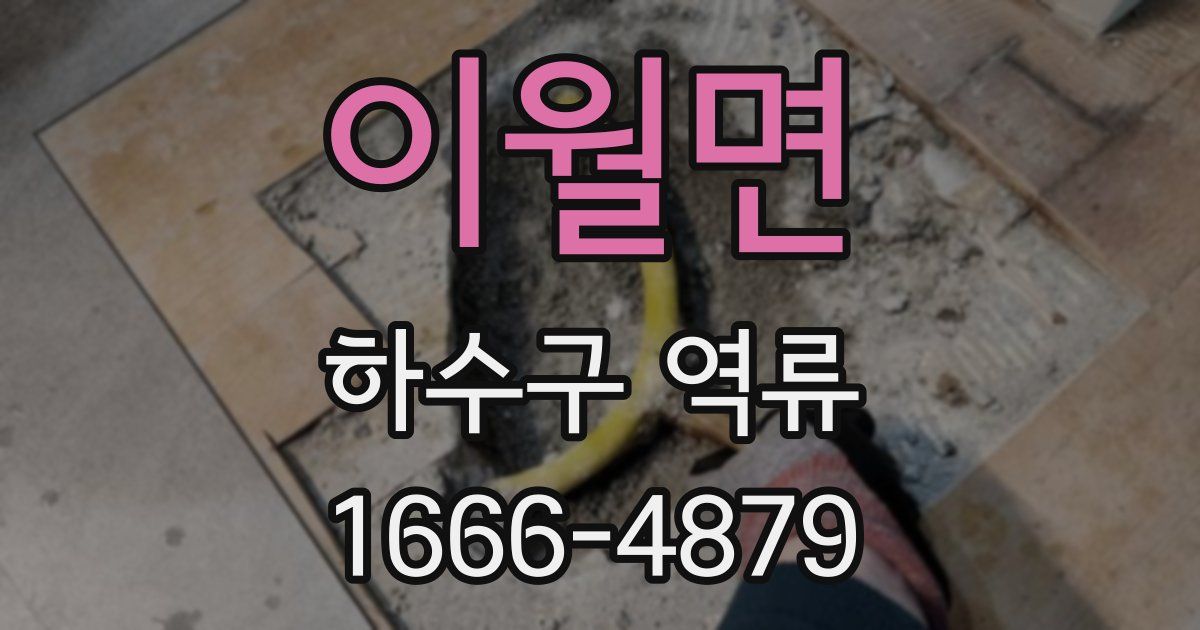 이월면 하수구 역류